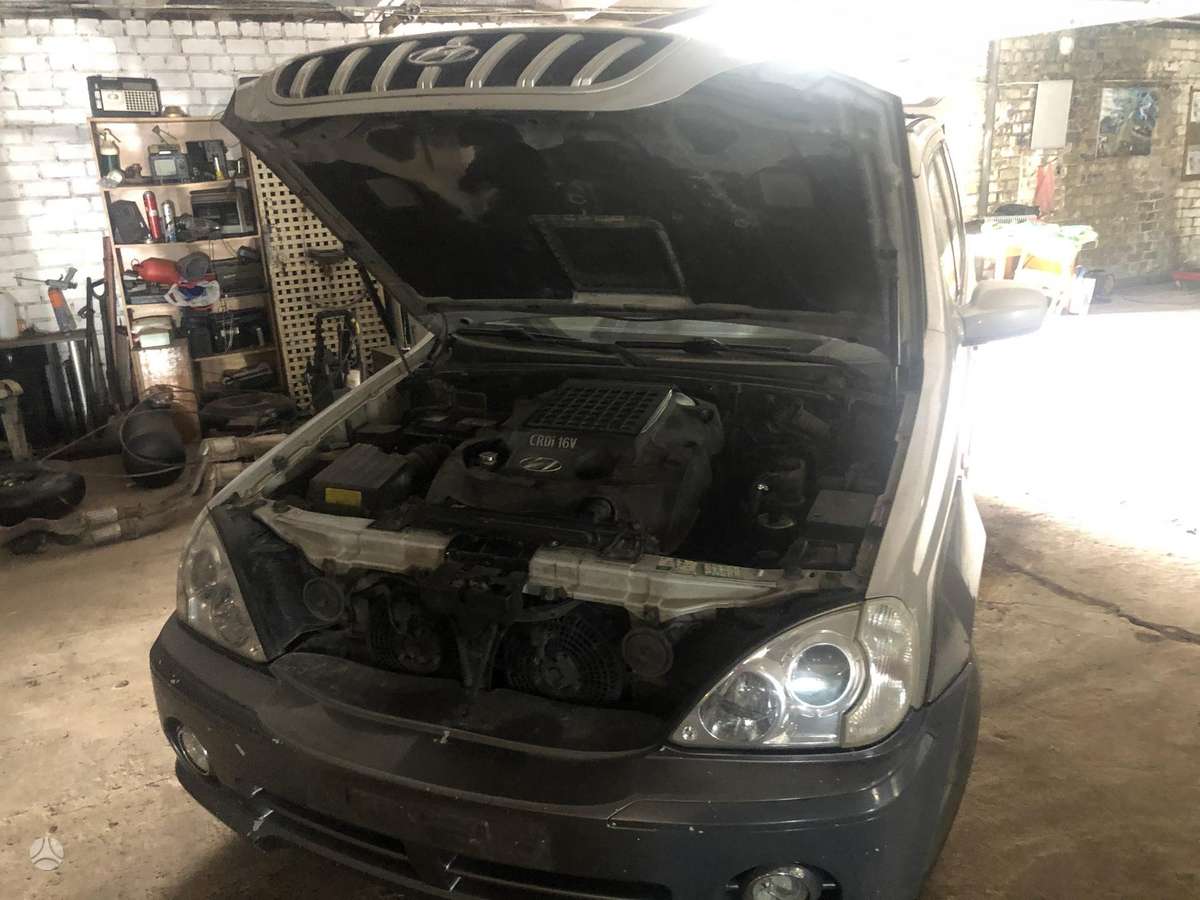 Hyundai Terracan dalimis
