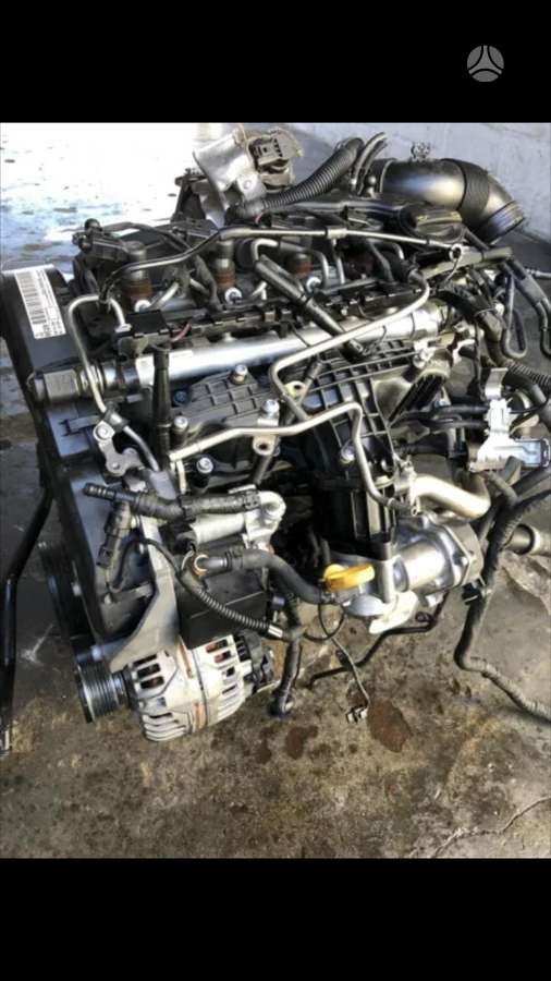 Volkswagen Passat, CAY