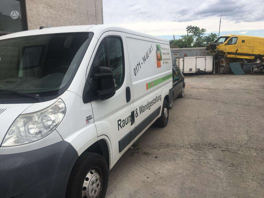 Fiat Ducato, krovininiai mikroautobusai