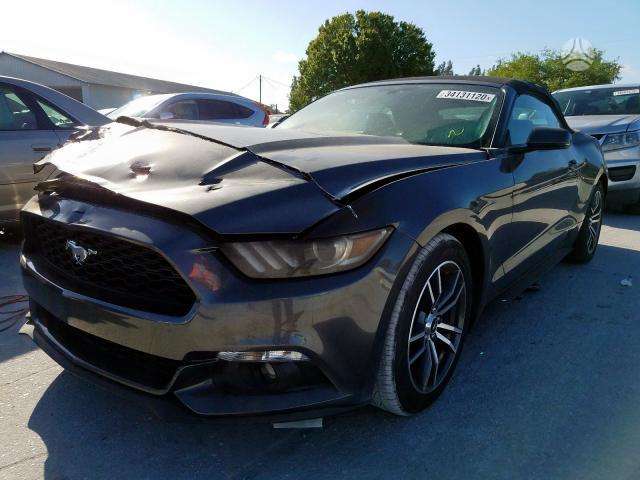 Ford Mustang dalimis