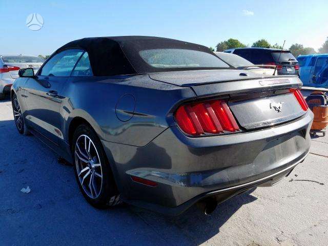 Ford Mustang dalimis