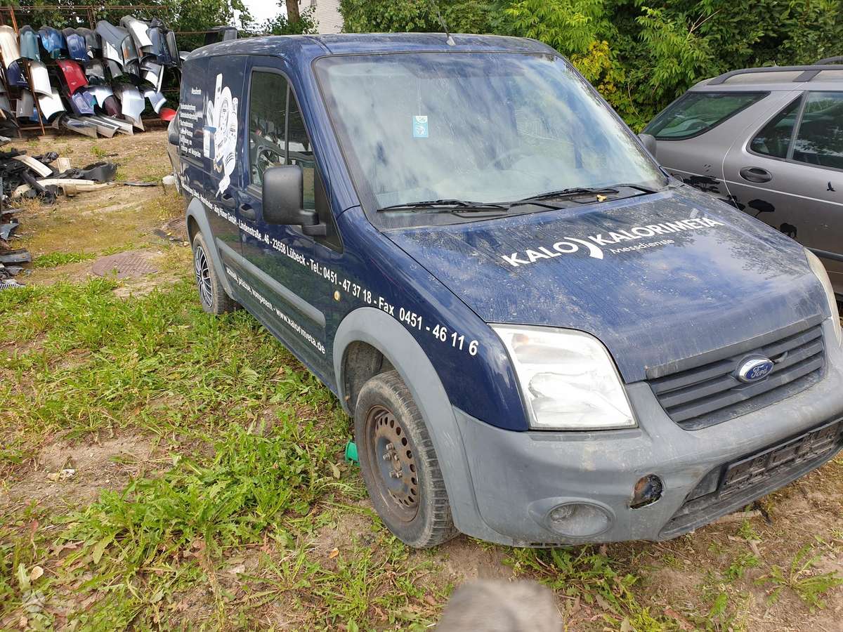 Ford dalimis