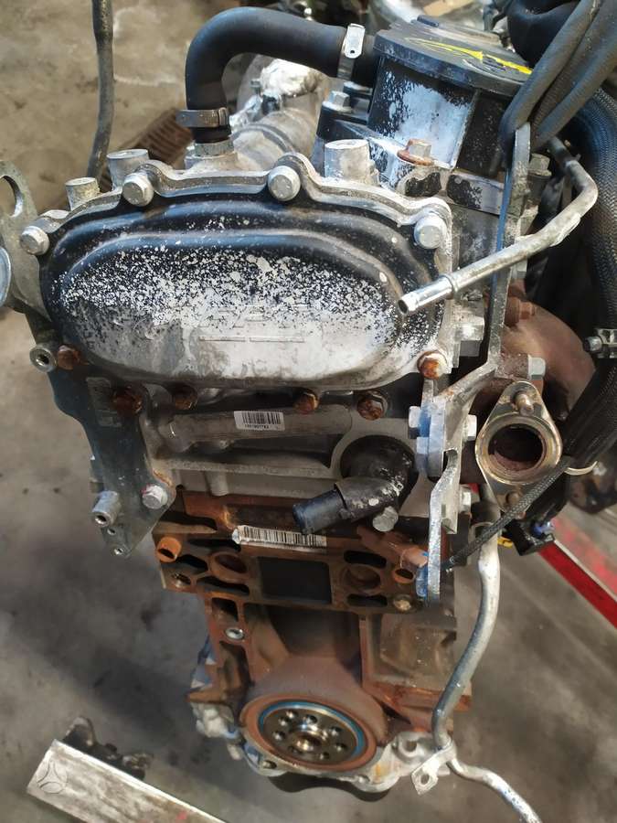 Fiat Ducato, krovininiai mikroautobusai