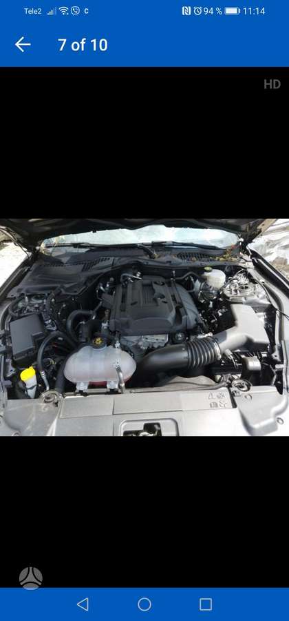 Ford Mustang Vyber whatsapp