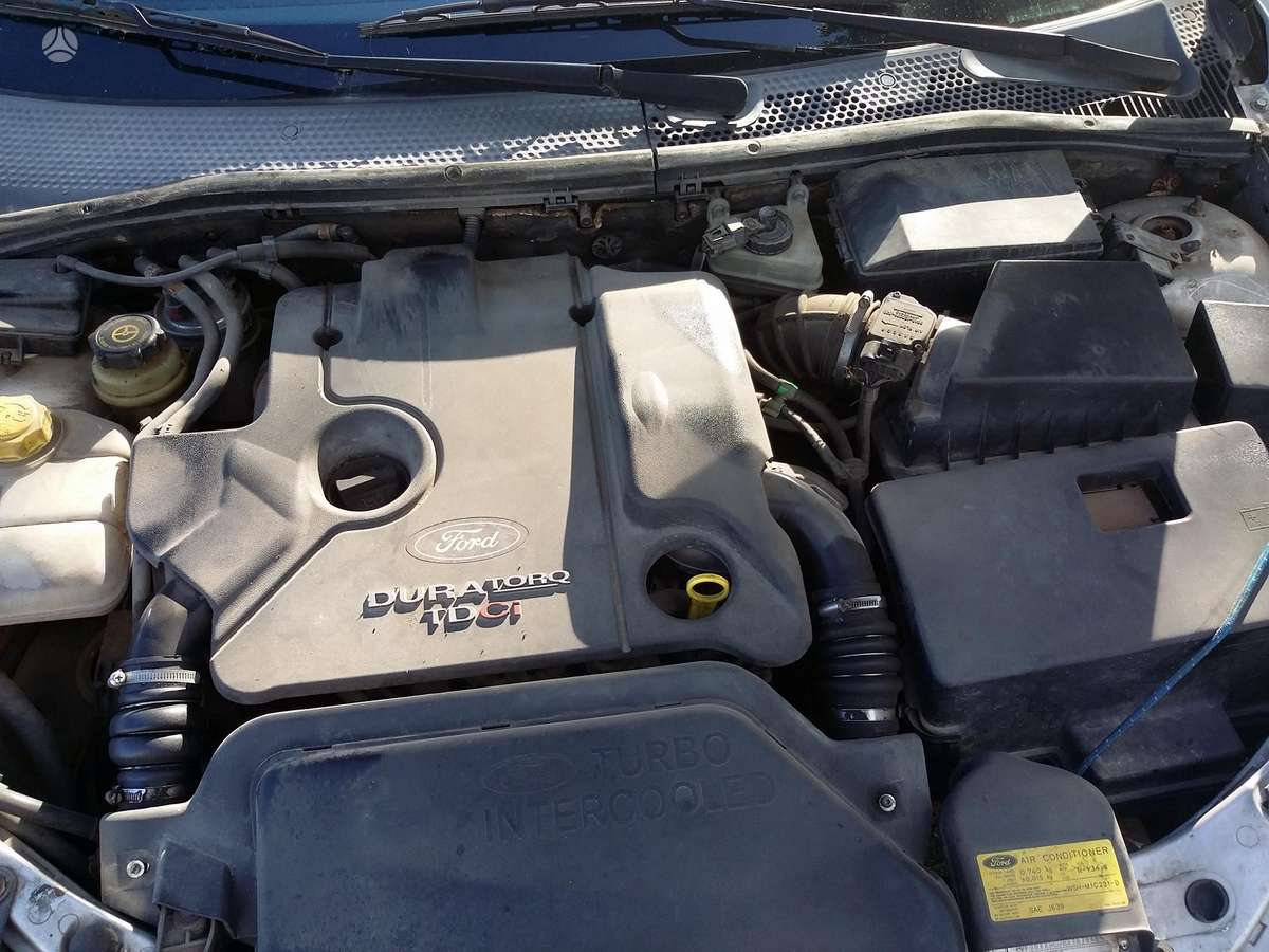 Ford Focus dalimis. Europa dalimis