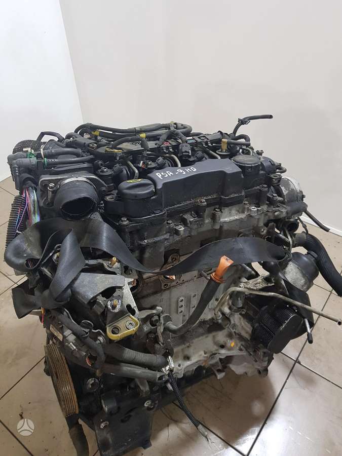 Peugeot 308 Variklio kodas psa 9hd