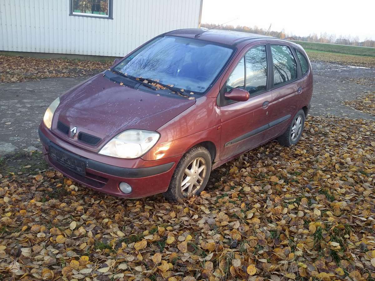 Renault Scenic dalimis