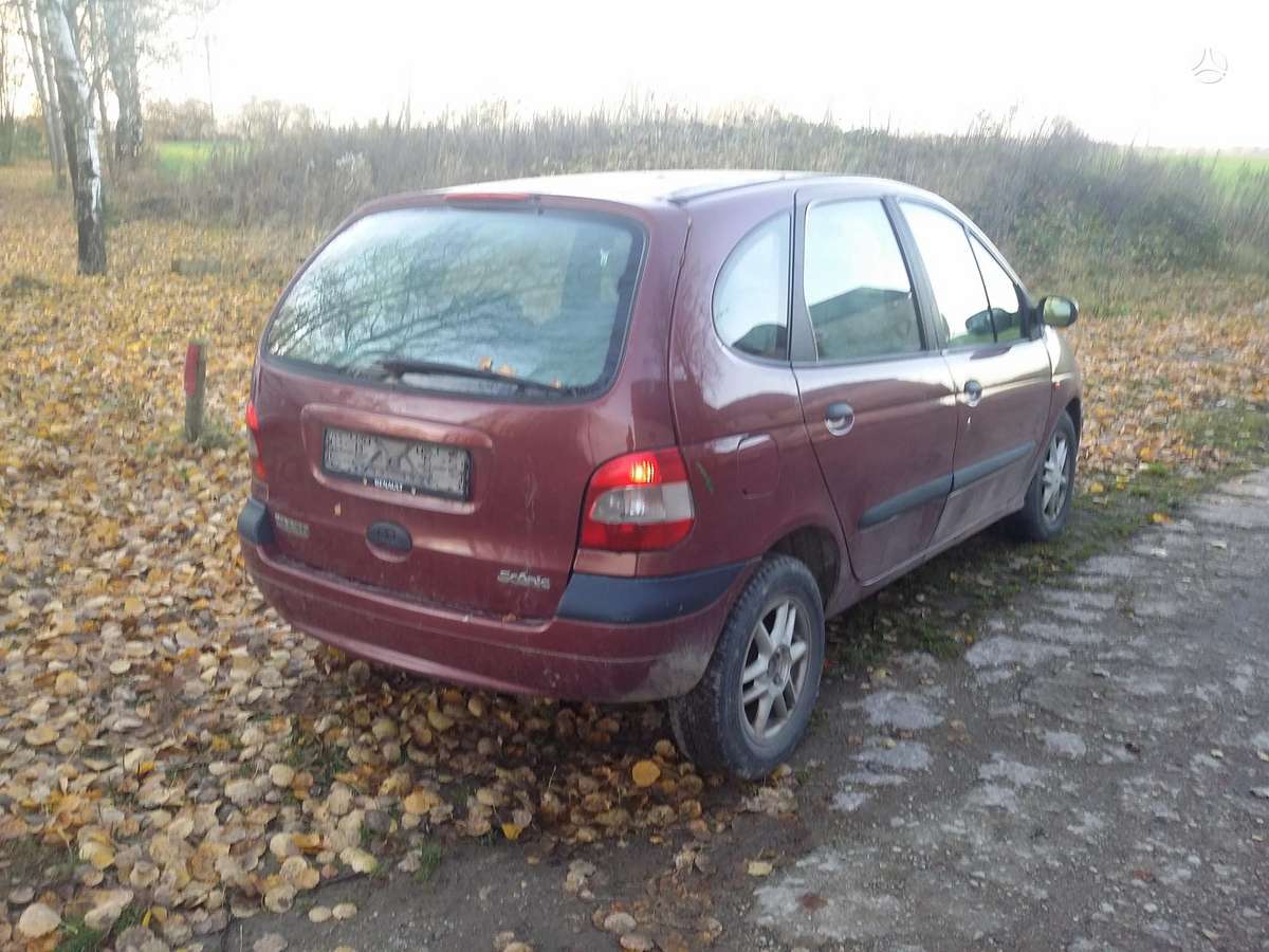 Renault Scenic dalimis