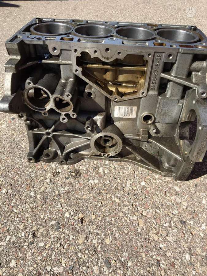 Ford Focus, BM5G-6015-DB, variklio blokas