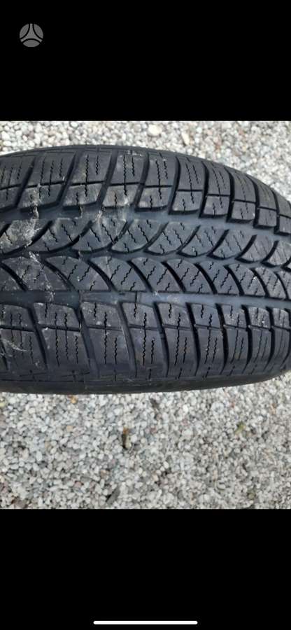 Taurus, ziemas 225/55 R16