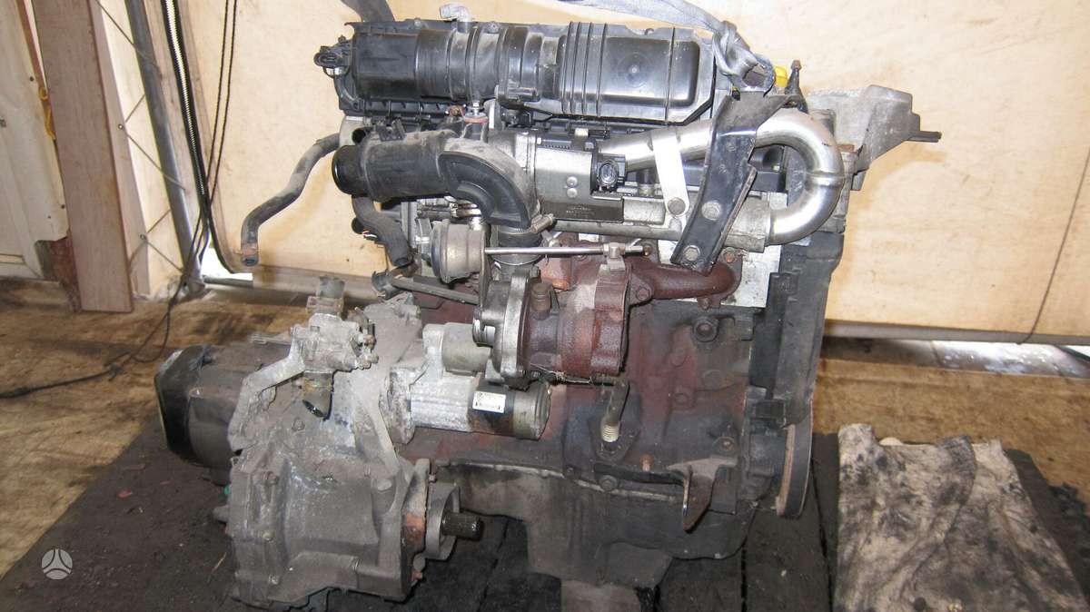 Renault Clio Dalimis