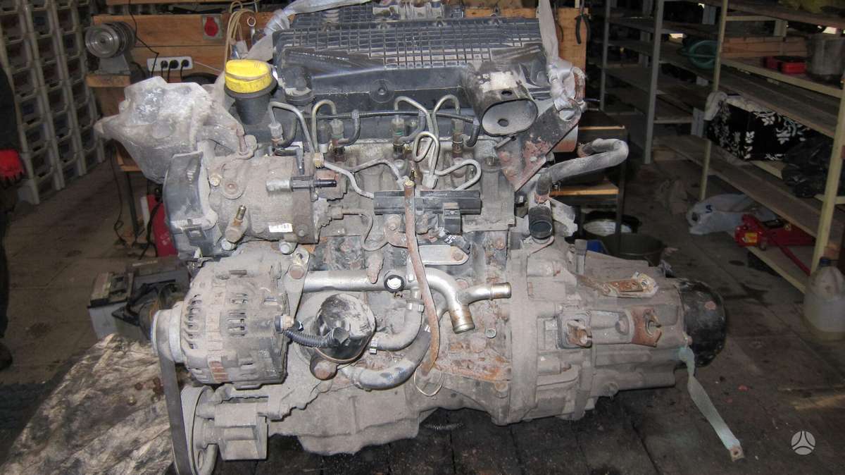 Renault Clio Dalimis