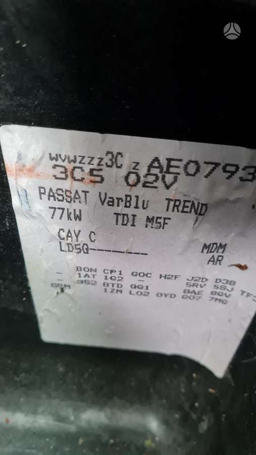 Volkswagen Passat dalimis