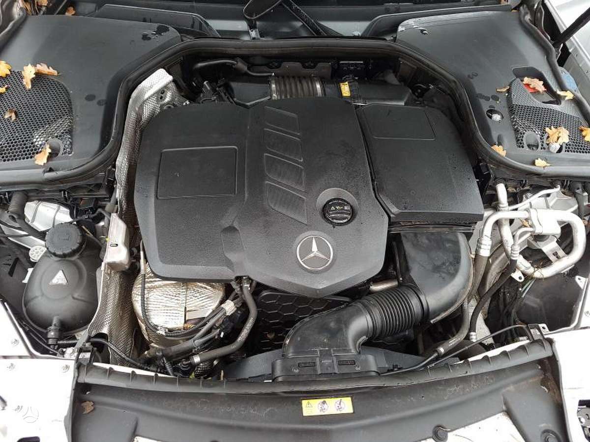 Mercedes-Benz E220 dalimis