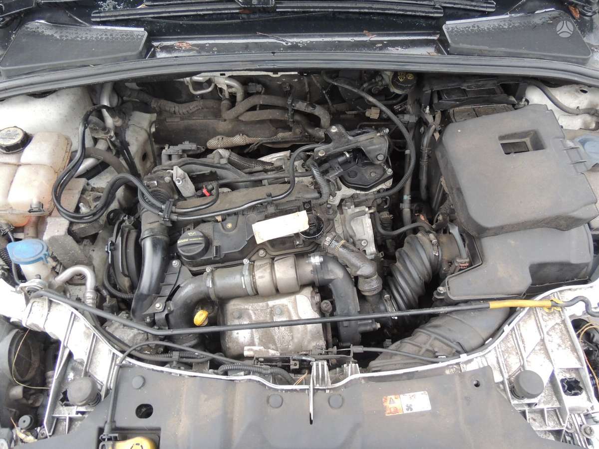 Ford Focus Autokapseta lv