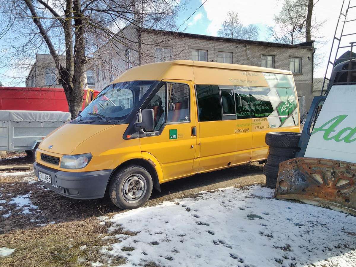 Ford Transit, krovininiai mikroautobusai