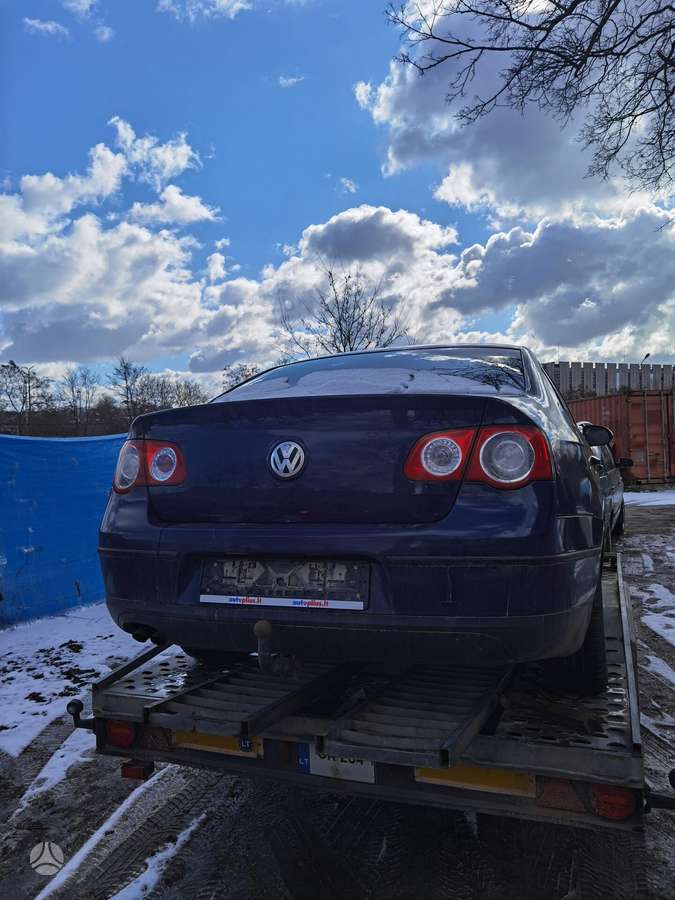 Volkswagen Passat Dalimis be rudziu