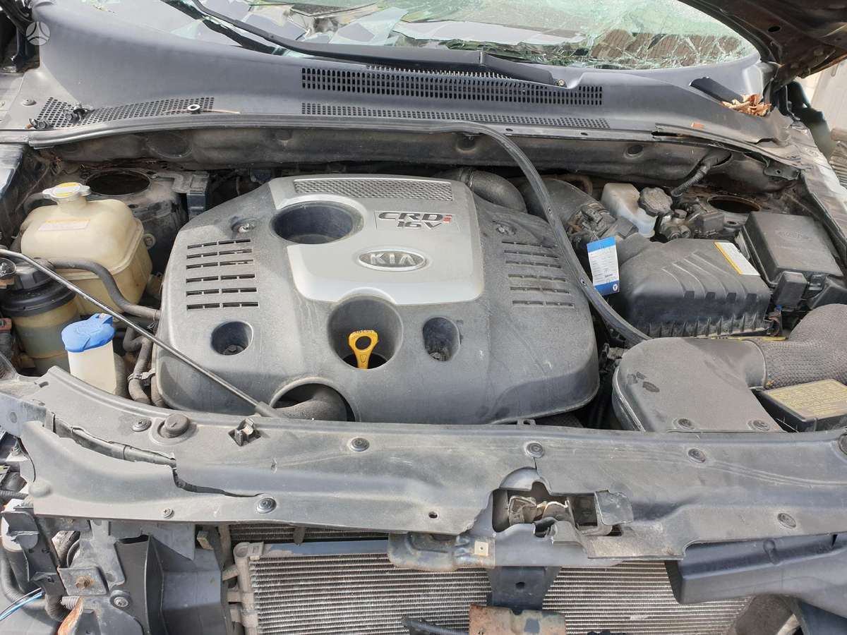 Kia Sportage dalimis