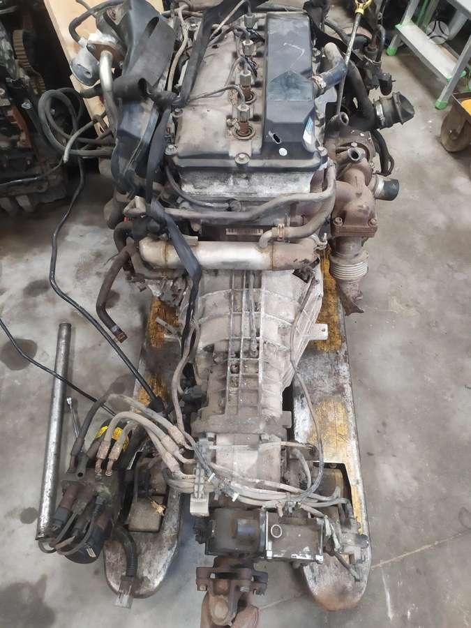 Ford Transit, krovininiai mikroautobusai