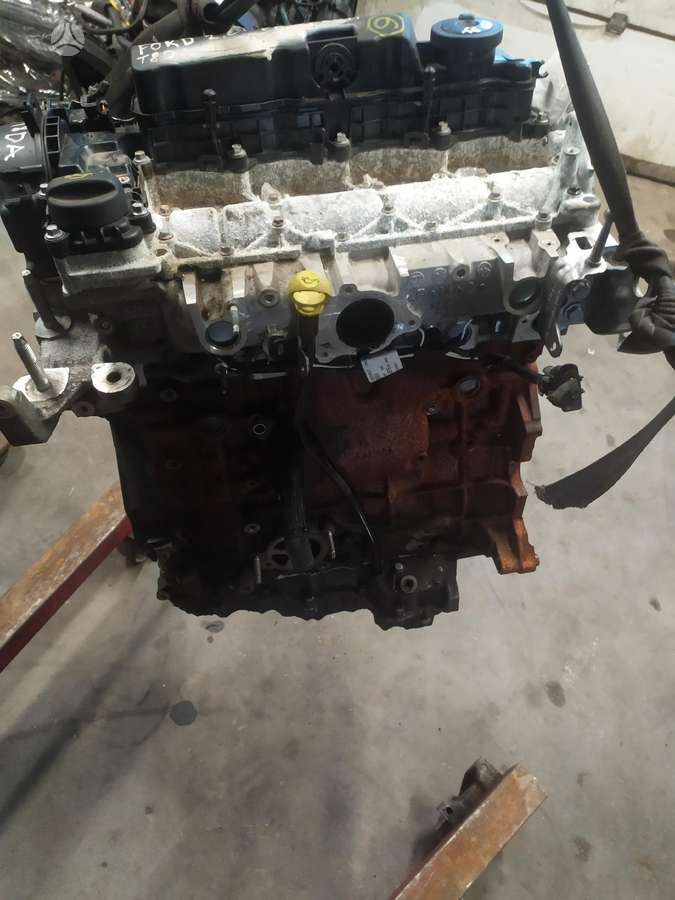 Ford Focus, T8DA 10CODY