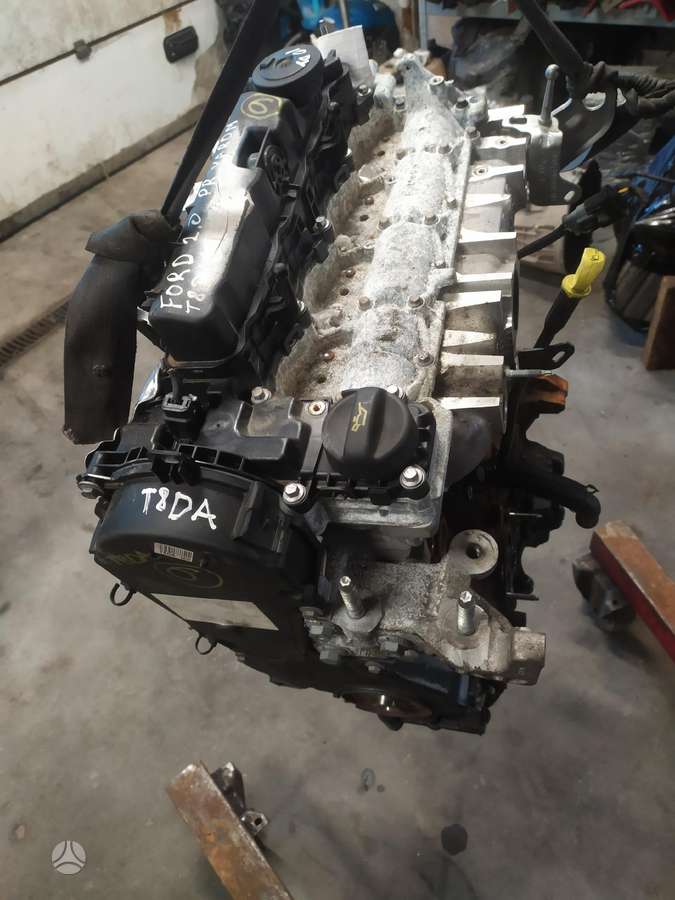 Ford Focus, T8DA 10CODY