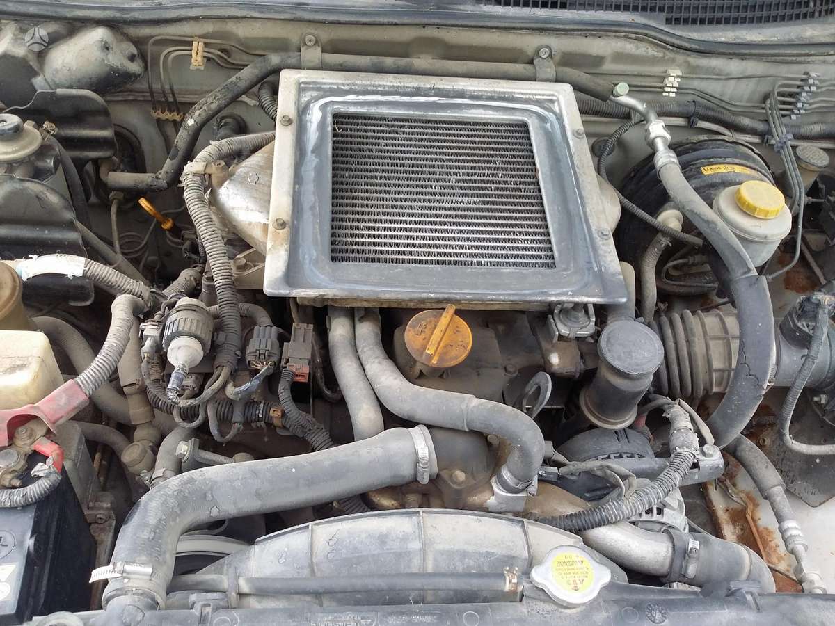 Nissan Terrano dalimis. Anglas dalimis