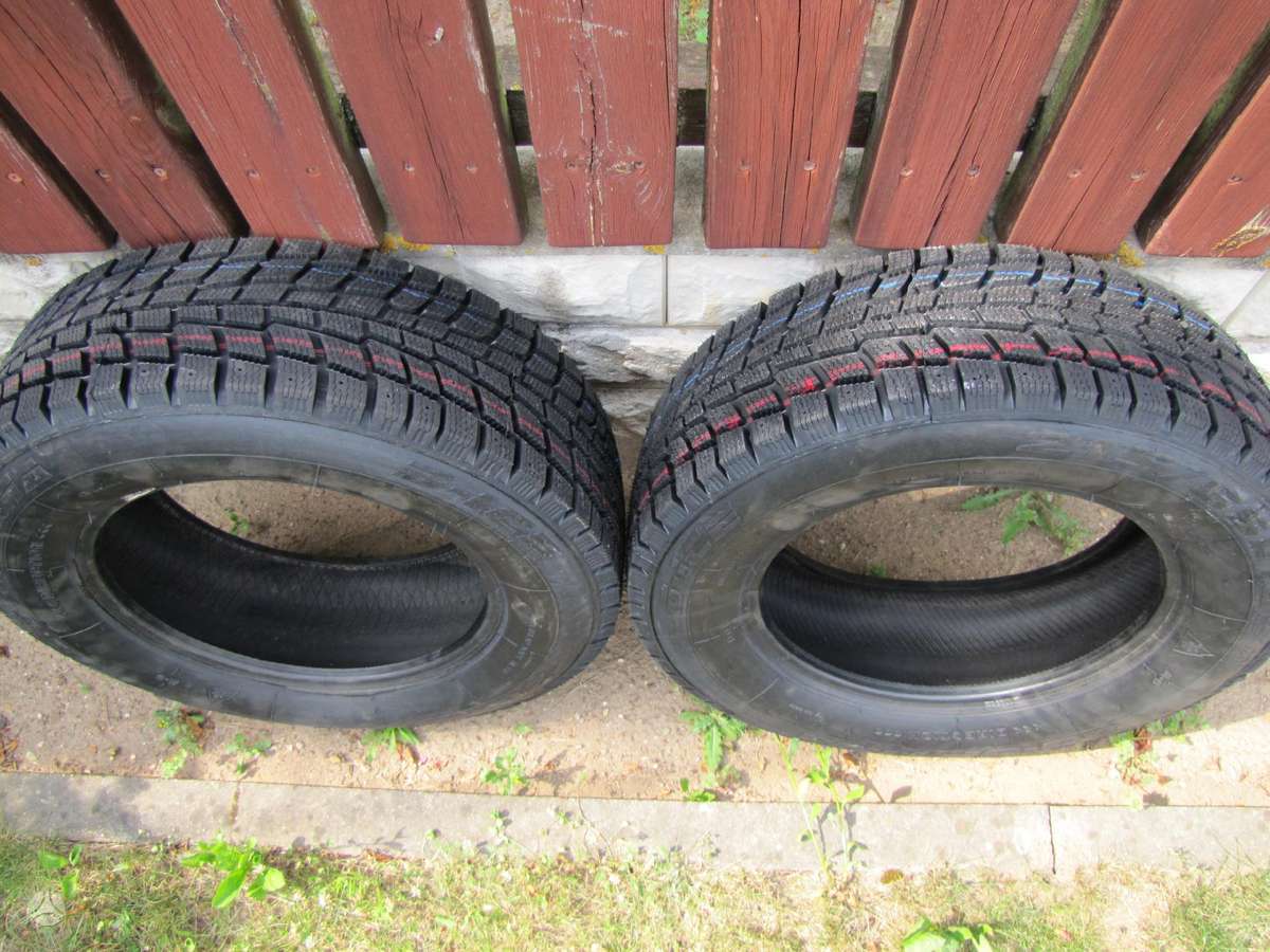 Agi AG -OPTIMA B-ICE, всесезонные 215/65 R16