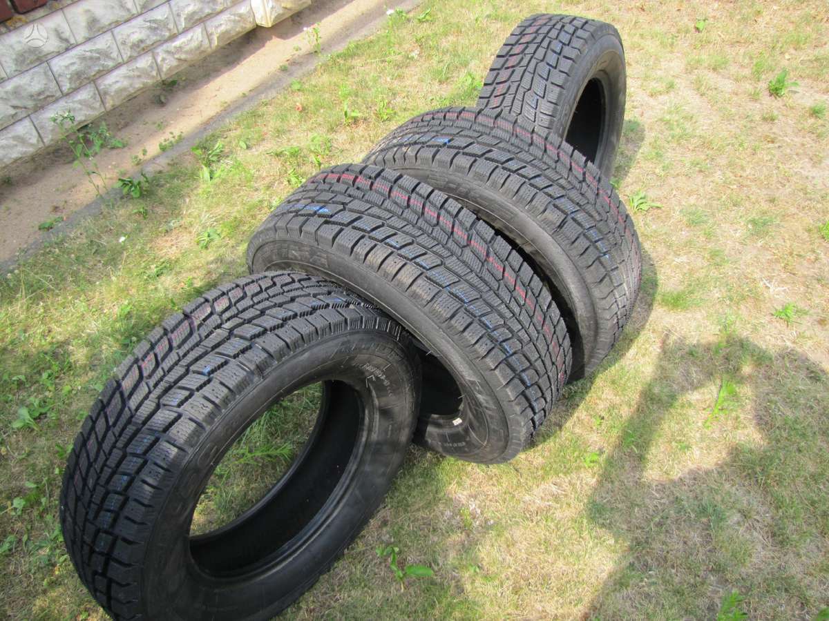 Agi AG -OPTIMA B-ICE, всесезонные 215/65 R16