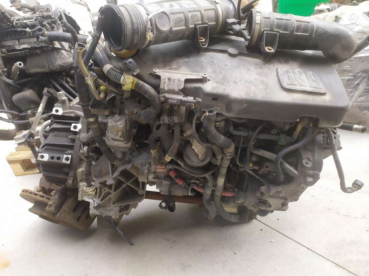 Fiat DUCATO, krovininiai mikroautobusai