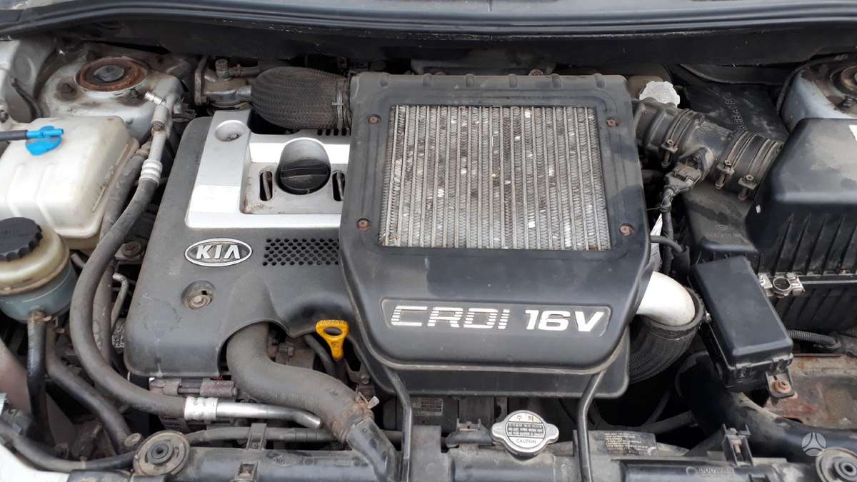 Kia Carens Dalimis
