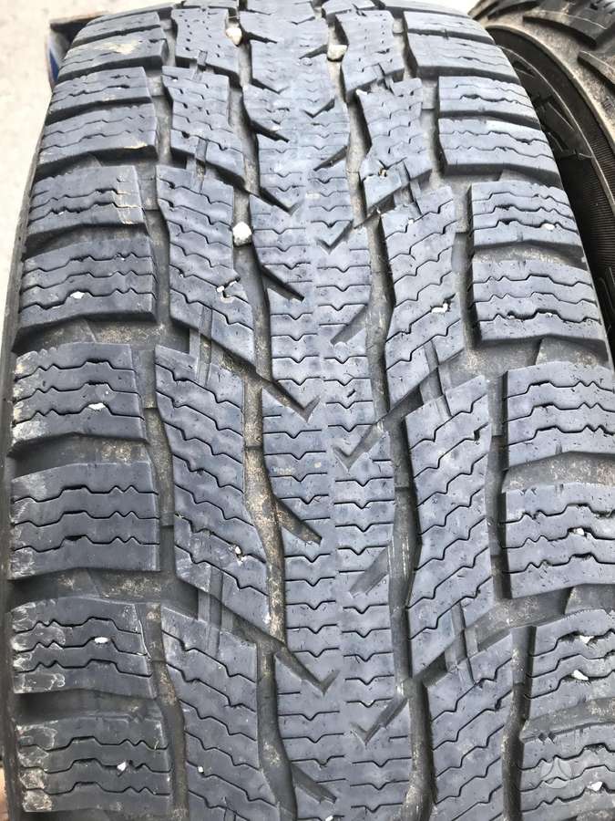 Nokian, universalios 215/60 R17