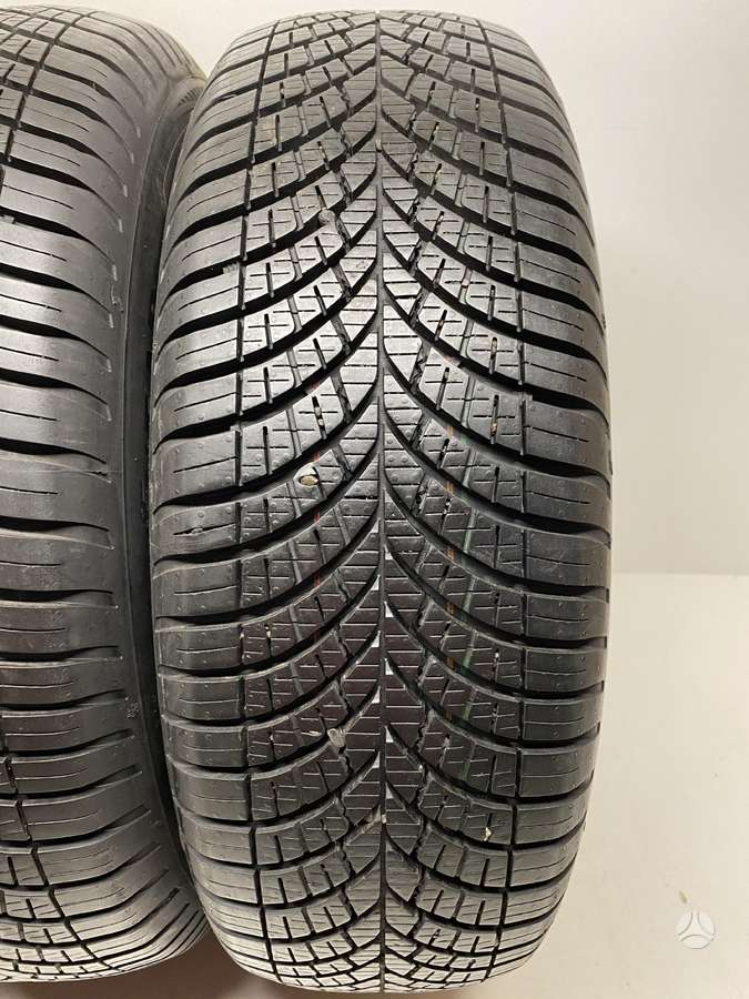 Goodyear Vector4Seasons 2021m, universalios 195/65 R15