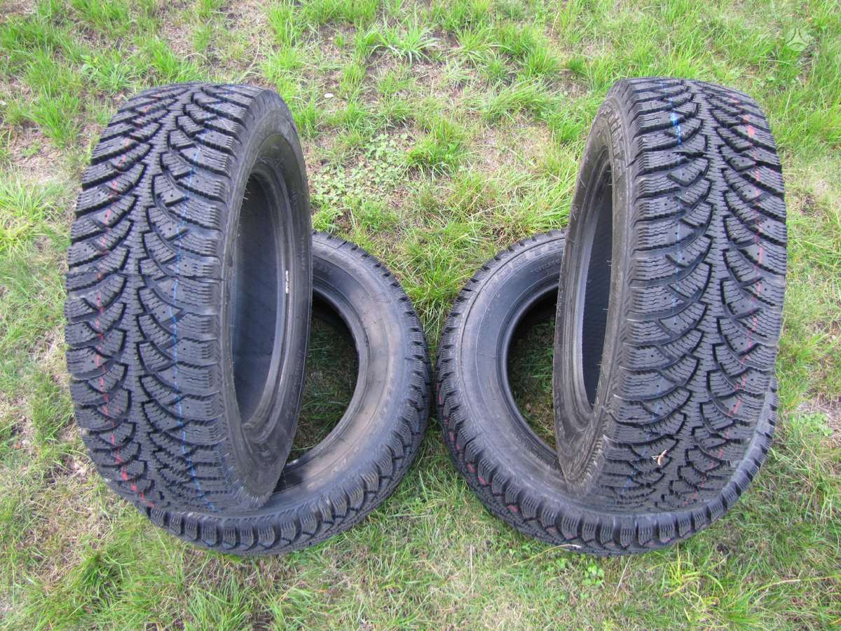 Agi AG-OPTIMA NORTH 4, winter 195/65 R15