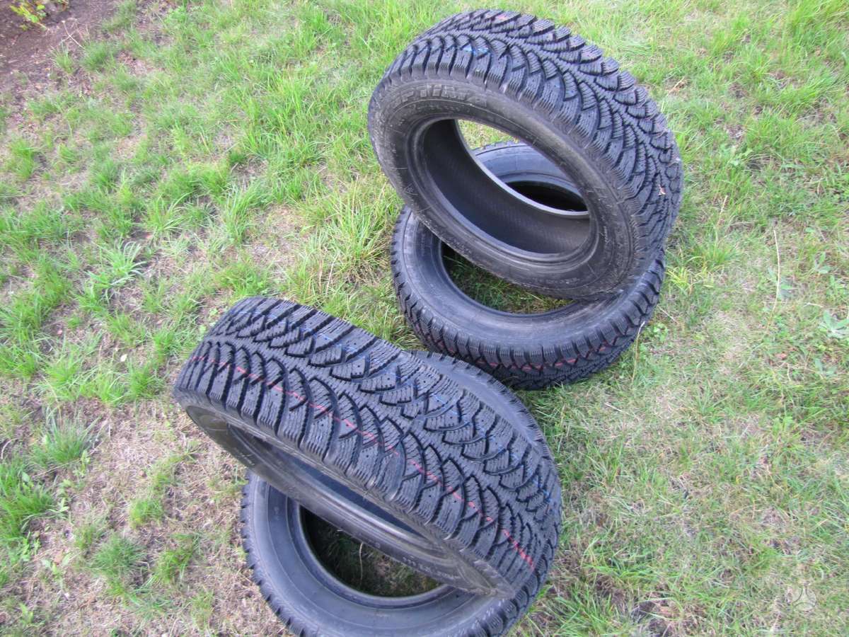Agi AG-OPTIMA NORTH 4, winter 195/65 R15