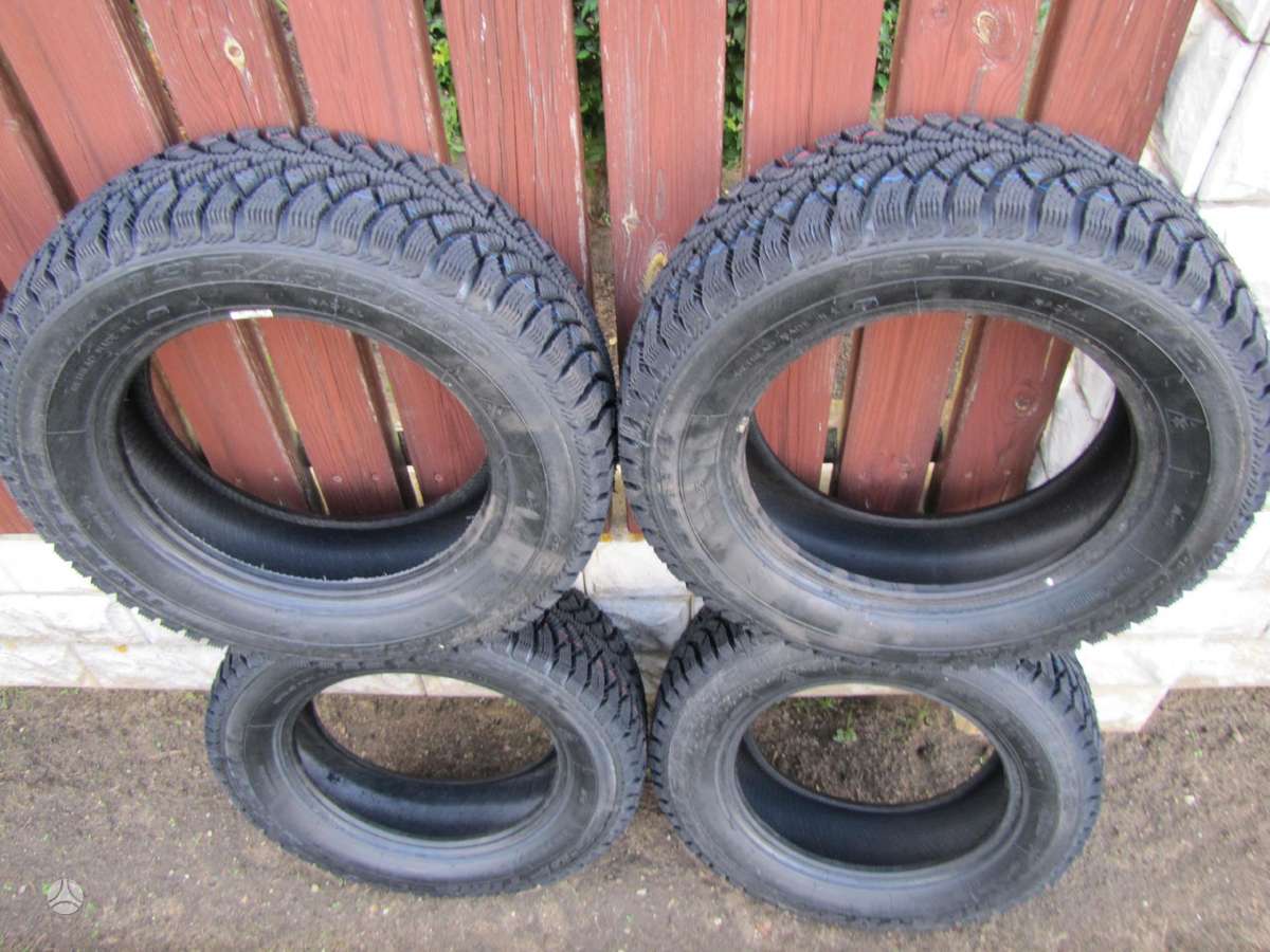 Agi AG-OPTIMA NORTH 4, winter 195/65 R15