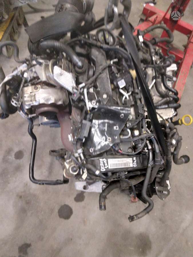 Skoda Octavia, Ddf tdh
