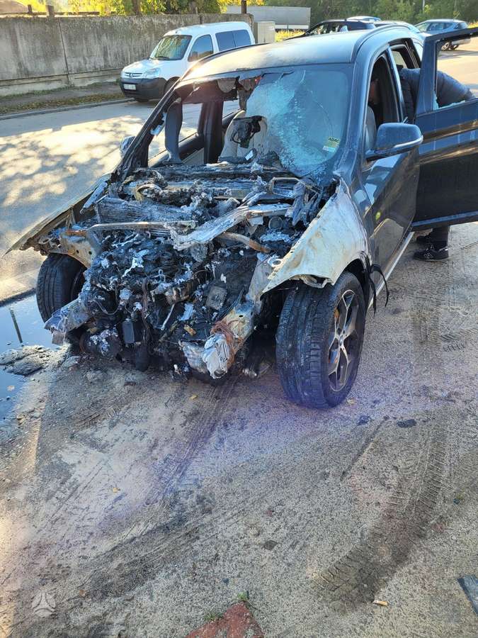 BMW X1 dalimis