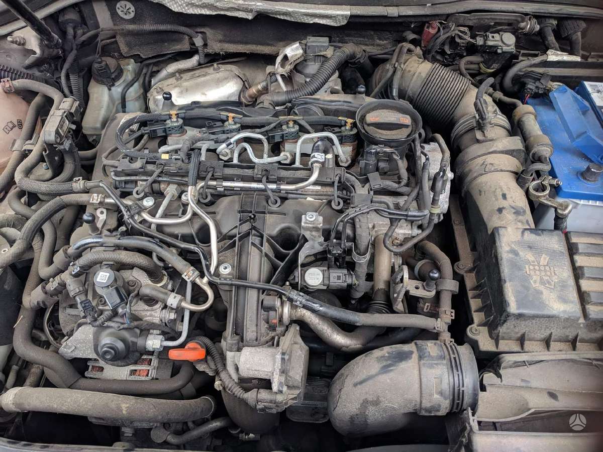 Volkswagen Passat dalimis