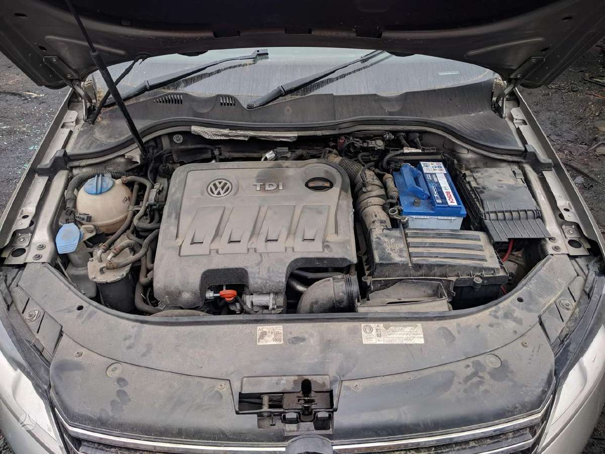 Volkswagen Passat dalimis