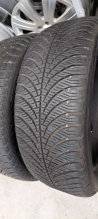 Goodyear, universalios 205/55 R17
