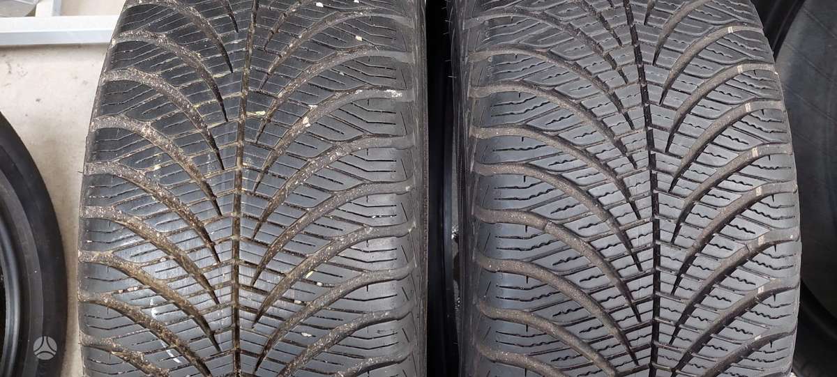 Goodyear, universalios 205/55 R17