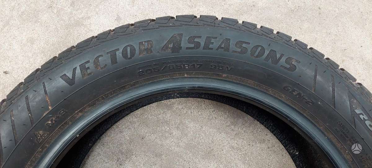 Goodyear, universalios 205/55 R17