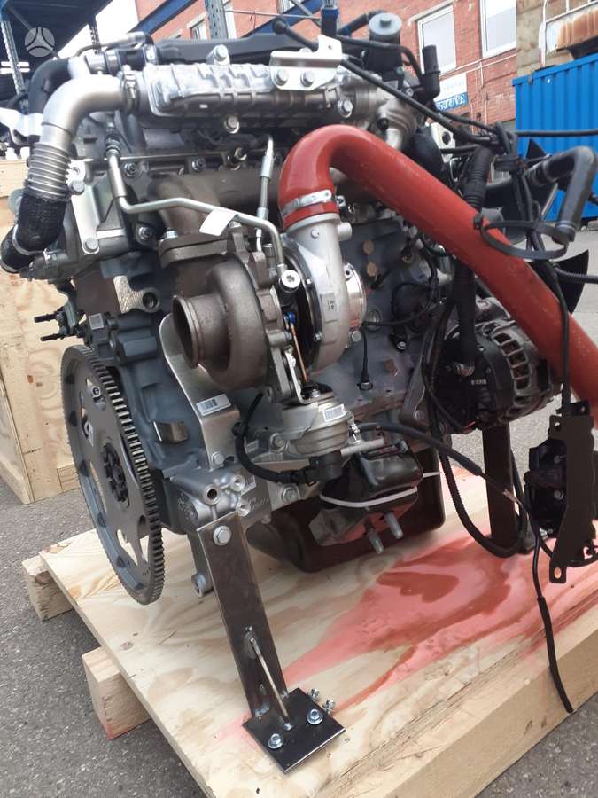 Iveco Daily, other