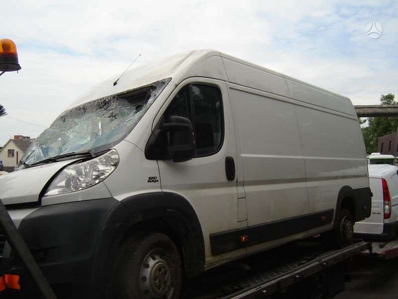 Fiat Ducato, krovininiai mikroautobusai