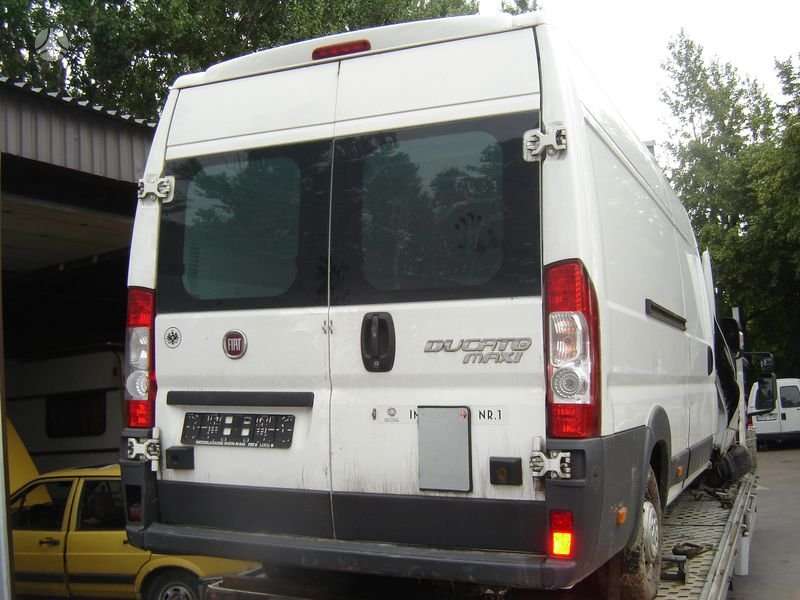 Fiat Ducato, krovininiai mikroautobusai