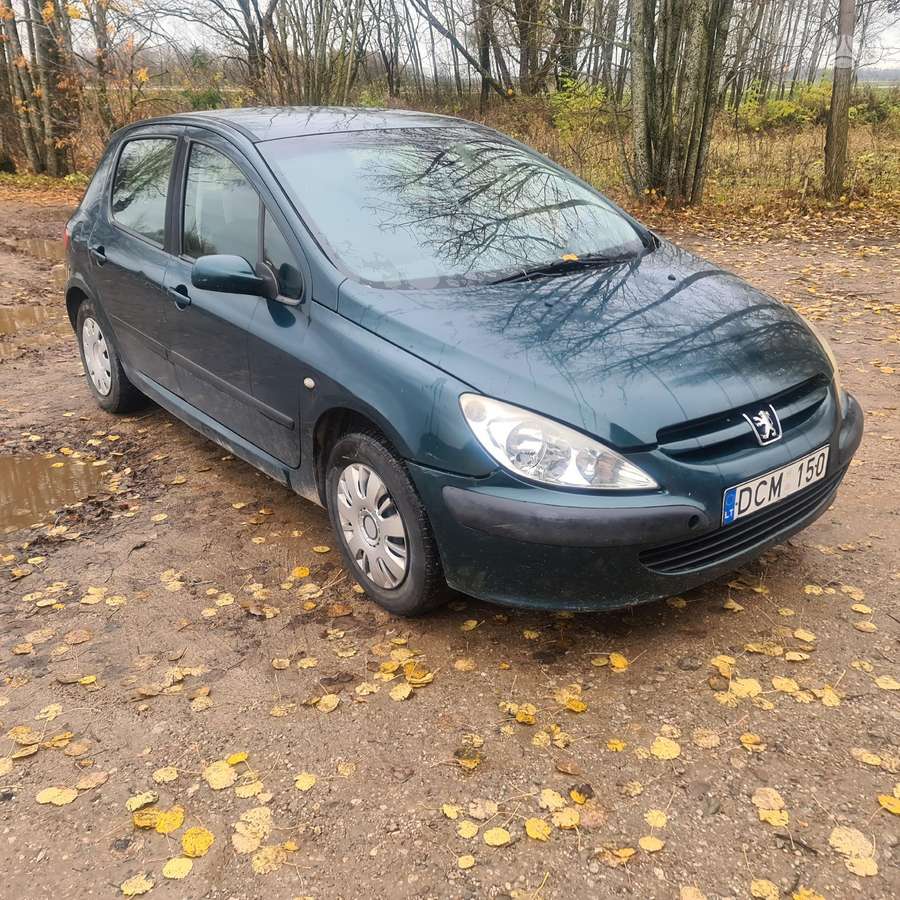 Peugeot 307 по частям. Dalimis