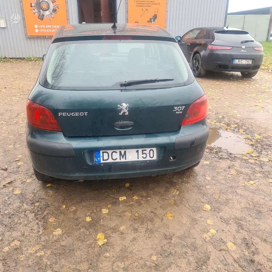 Peugeot 307 dalimis. Dalimis