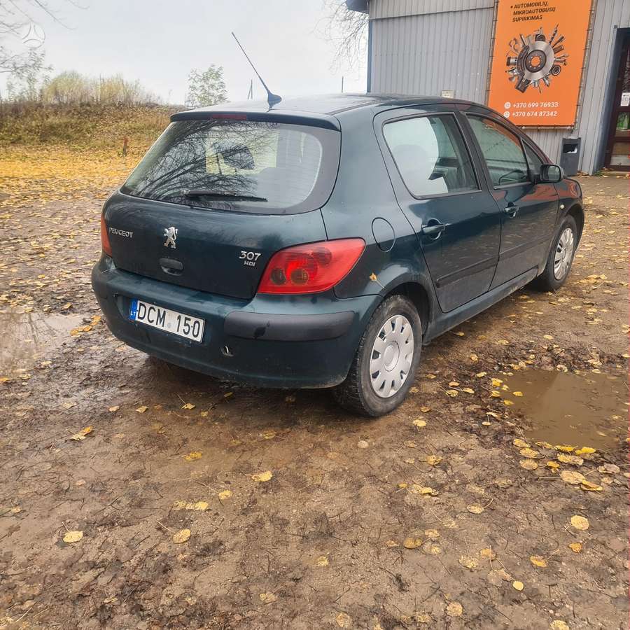 Peugeot 307 по частям. Dalimis