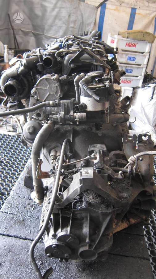 Volvo S40 Variklio kodas d4164t