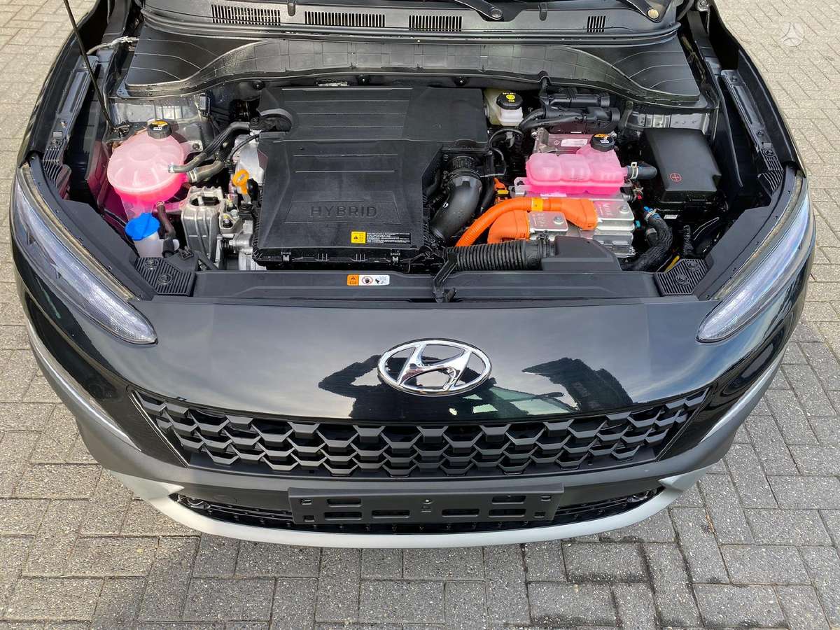 Hyundai Kona Dalimis